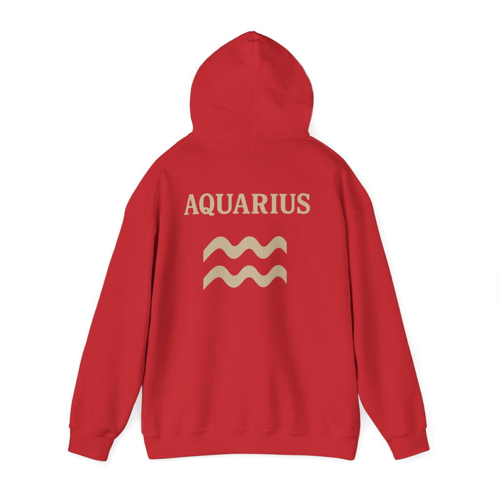 Aquarius Zodiac Hoodie - Cozy Astrology Sweatshirt, Unisex Astrology Gear, Horoscope Gift, Zodiac Apparel, Horoscope Sweatshirt