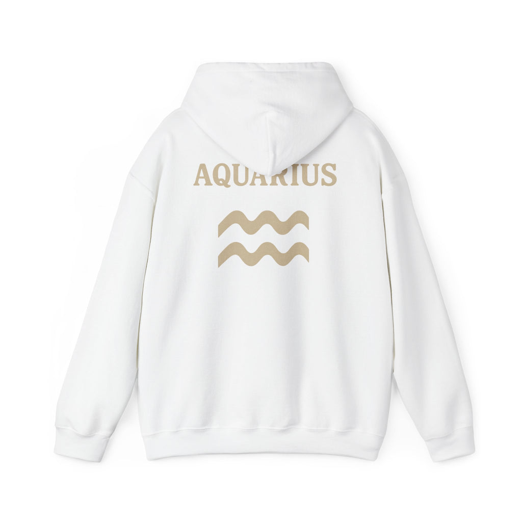 Aquarius Zodiac Hoodie - Cozy Astrology Sweatshirt, Unisex Astrology Gear, Horoscope Gift, Zodiac Apparel, Horoscope Sweatshirt