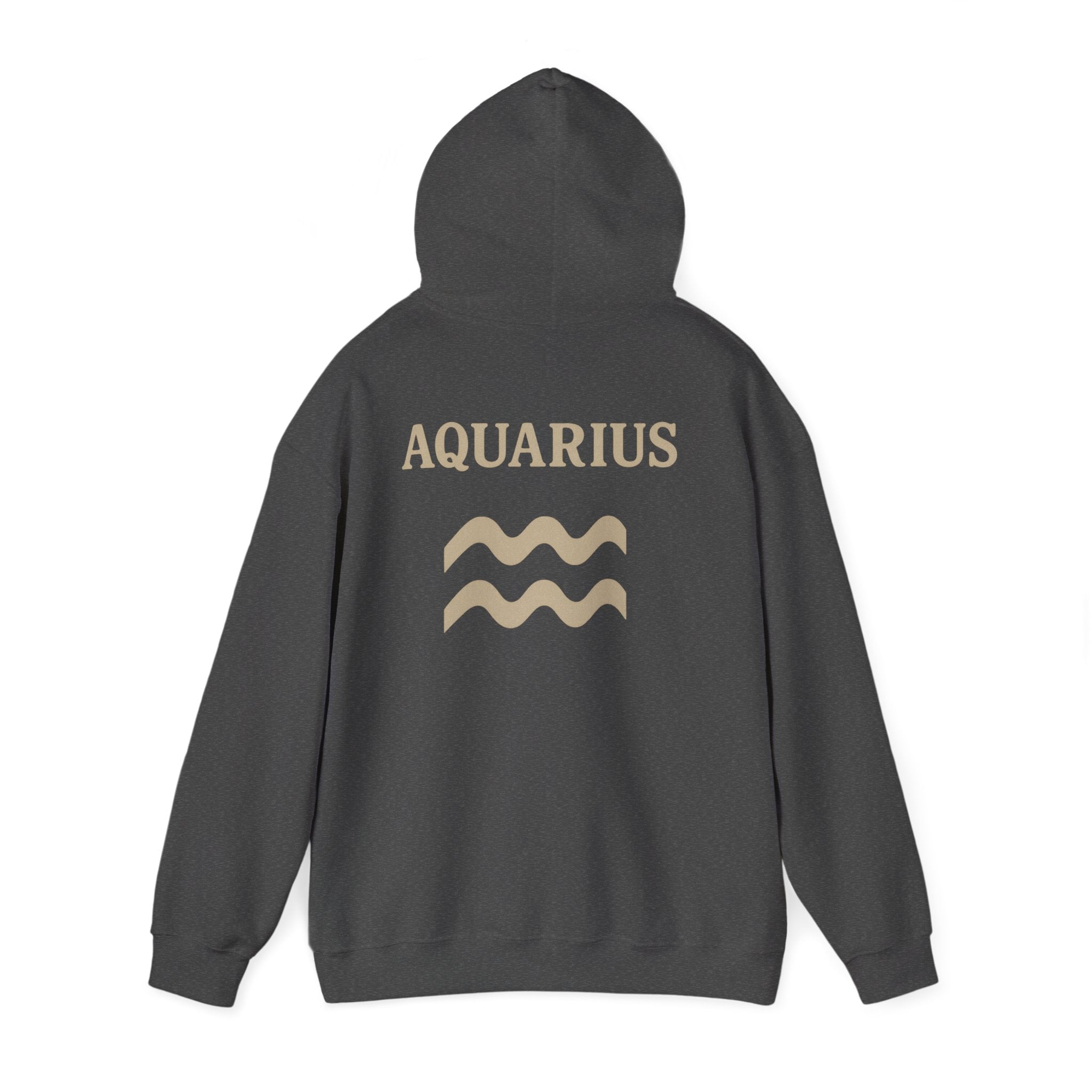 Aquarius Zodiac Hoodie - Cozy Astrology Sweatshirt, Unisex Astrology Gear, Horoscope Gift, Zodiac Apparel, Horoscope Sweatshirt
