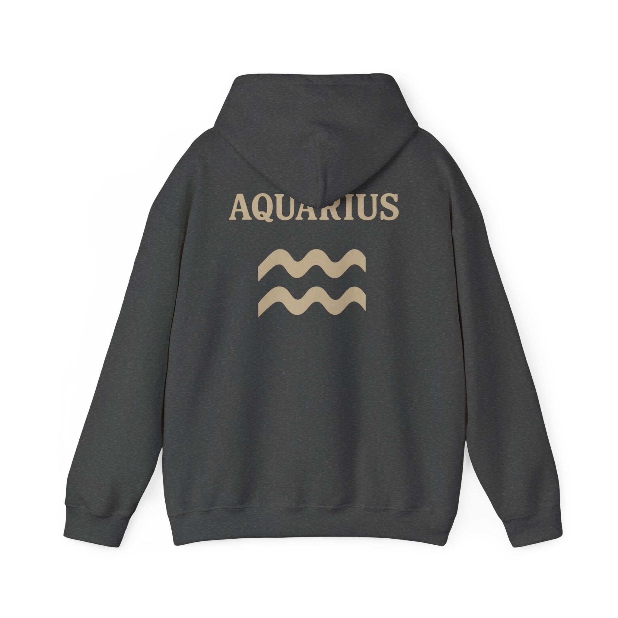 Aquarius Zodiac Hoodie - Cozy Astrology Sweatshirt, Unisex Astrology Gear, Horoscope Gift, Zodiac Apparel, Horoscope Sweatshirt