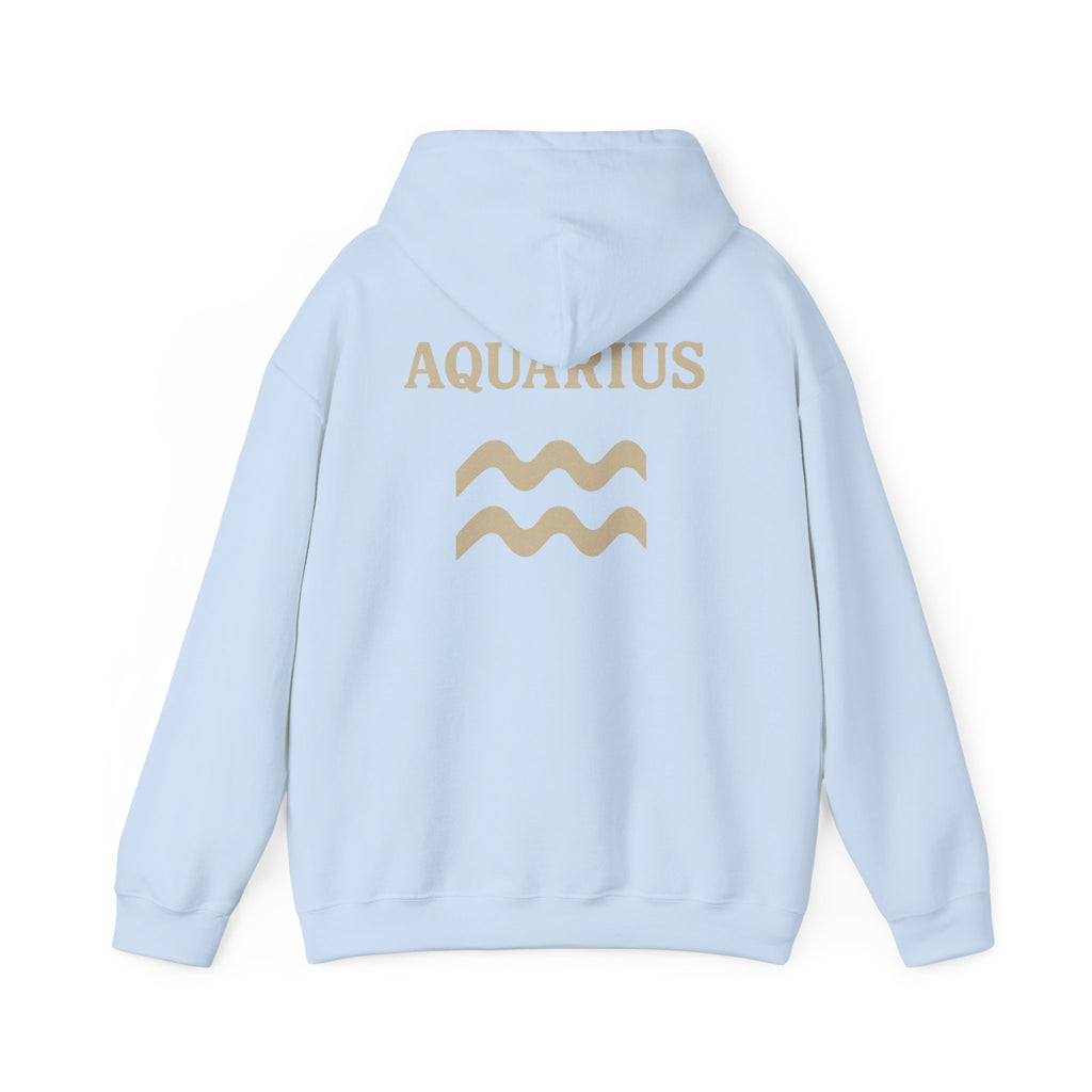 Aquarius Zodiac Hoodie - Cozy Astrology Sweatshirt, Unisex Astrology Gear, Horoscope Gift, Zodiac Apparel, Horoscope Sweatshirt