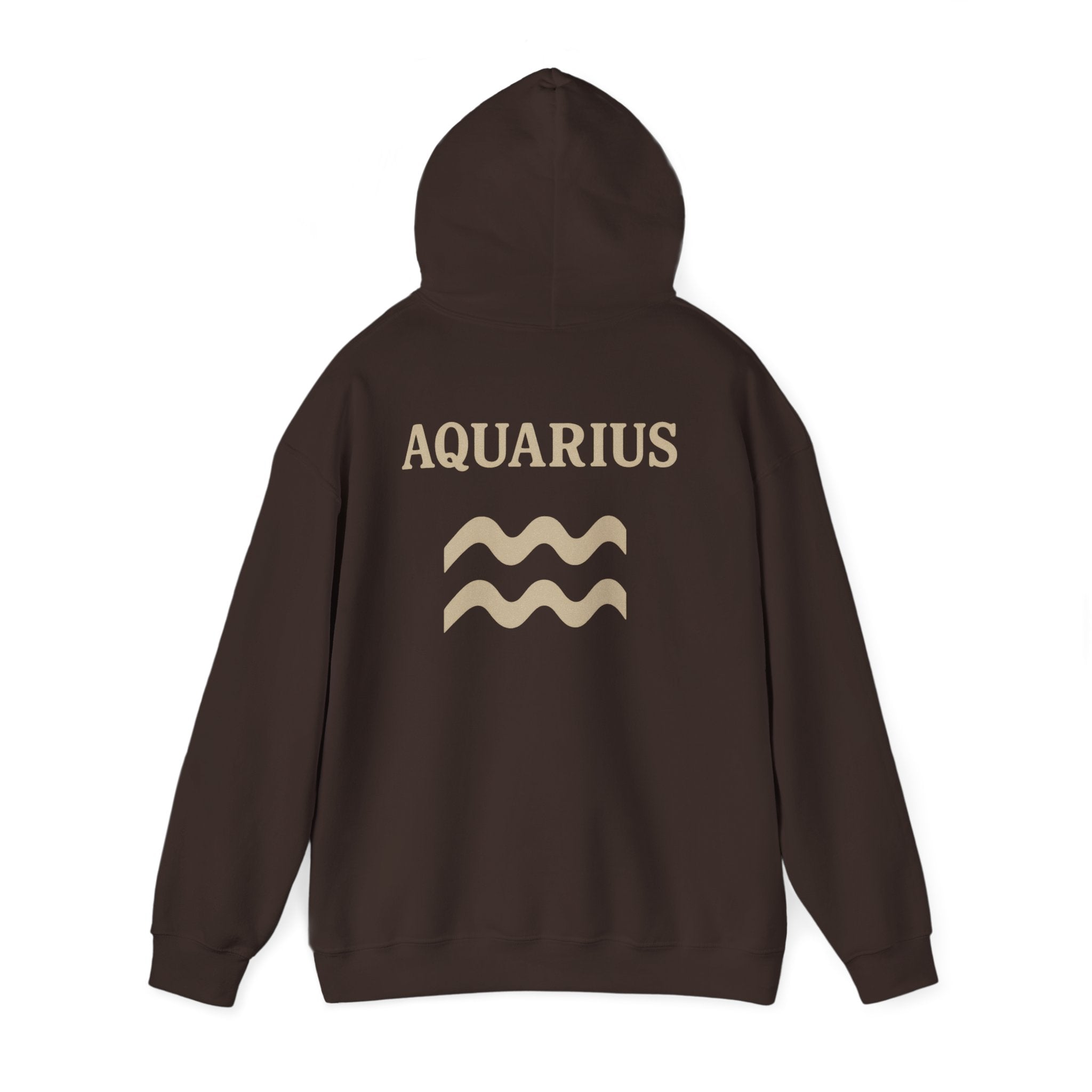 Aquarius Zodiac Hoodie - Cozy Astrology Sweatshirt, Unisex Astrology Gear, Horoscope Gift, Zodiac Apparel, Horoscope Sweatshirt