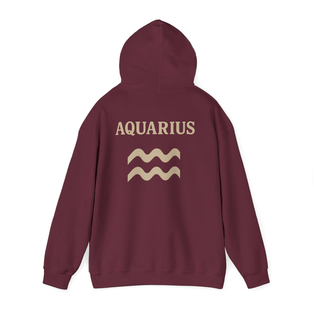 Aquarius Zodiac Hoodie - Cozy Astrology Sweatshirt, Unisex Astrology Gear, Horoscope Gift, Zodiac Apparel, Horoscope Sweatshirt