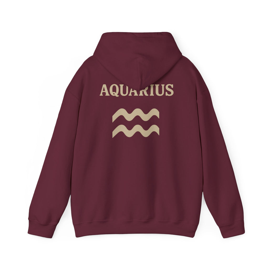 Aquarius Zodiac Hoodie - Cozy Astrology Sweatshirt, Unisex Astrology Gear, Horoscope Gift, Zodiac Apparel, Horoscope Sweatshirt